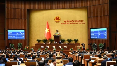 Law on Government Organization passed