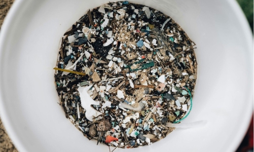 Phát triển công cụ AI đối phó với cuộc khủng hoảng vi nhựa toàn cầu