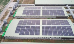 BAF Việt Nam tiên phong ứng dụng năng lượng mặt trời trong chăn nuôi 