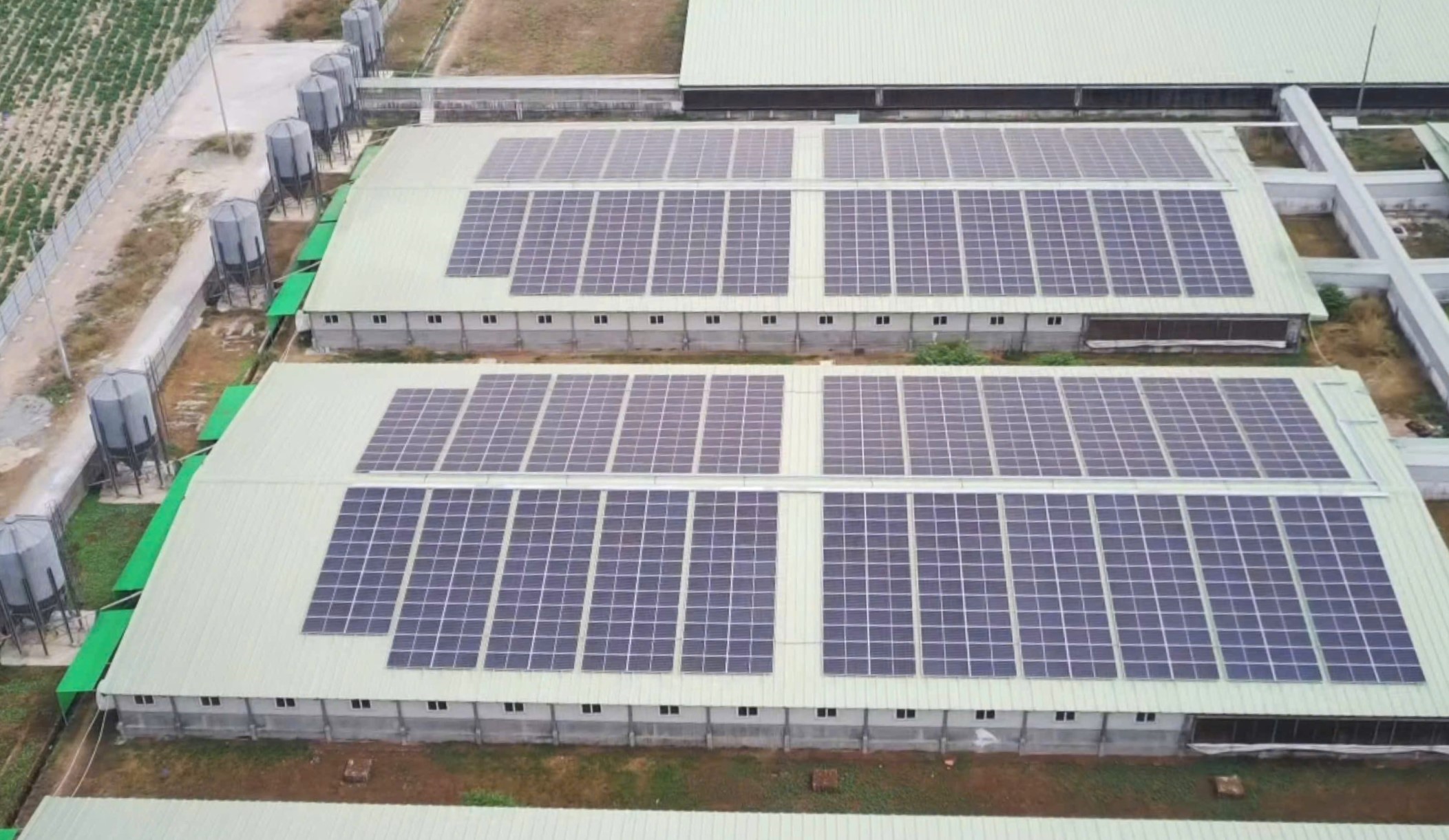 Hình ảnh hệ thống điện mặt trời được lắp đặt tại trang trại của BAF.