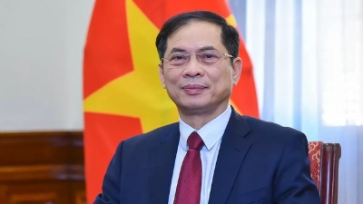 Deputy Prime Minister Bui Thanh Son becomes Head of National Steering Committee for ODA, preferential loans