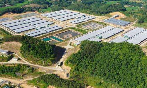 Cập nhật tiến độ hai dự án nông nghiệp nghìn tỷ tại Thanh Hoá