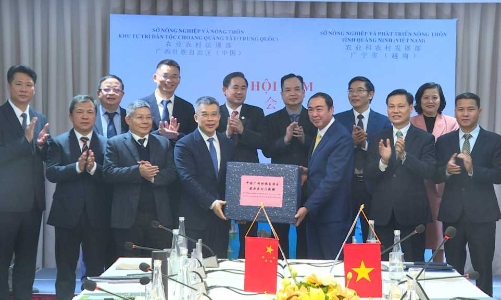 Hợp tác thúc đẩy các ngành sản xuất và nông nghiệp thông minh