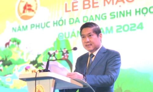 Phát triển Quảng Nam thành một trong các tỉnh tiên phong về kinh tế tăng trưởng xanh