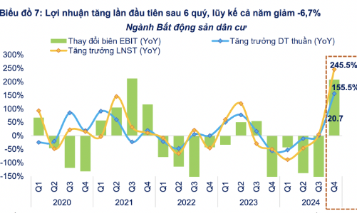 Cổ phiếu nhóm bất động sản dân cư vẫn khó trong nửa đầu năm 2025? 