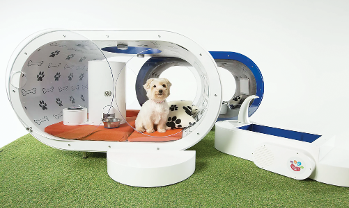 “Công nghiệp” nuôi thú cưng ngày càng phát đạt   