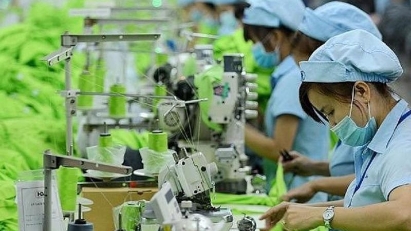 Vietnam to promote sustainable trade exchanges with EU