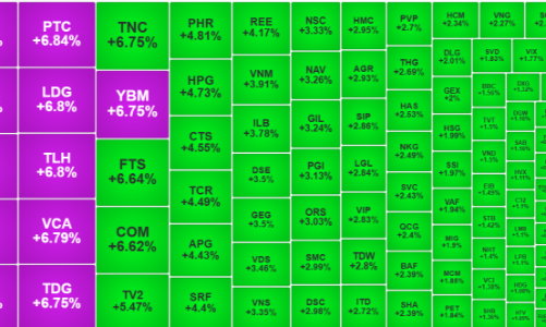 VN-Index đột phá mốc 1300, cổ phiếu chứng khoán thăng hoa