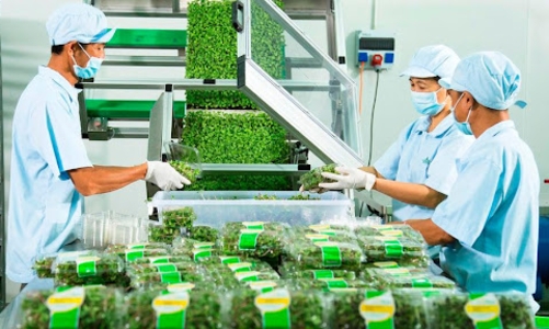 Đề xuất phân loại xanh 47 loại hình dự án đầu tư được cấp tín dụng xanh, phát hành trái phiếu xanh