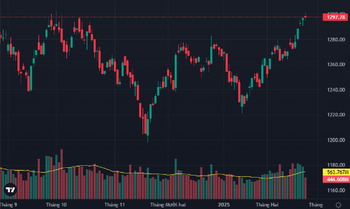 VN-Index chạm nhẹ mốc 1300, cổ phiếu thép bùng nổ