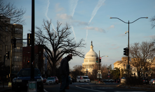 Thị trường lao động Mỹ trước cú sốc sa thải hàng loạt công chức liên bang