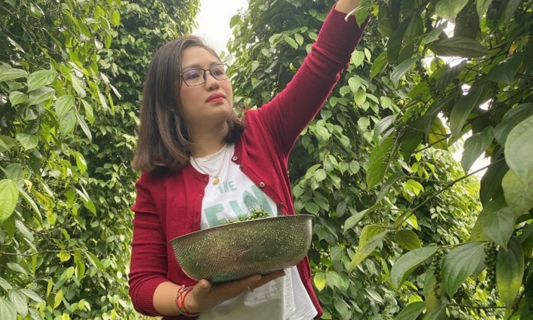 Hạt tiêu được giá cao, nông dân phấn khởi