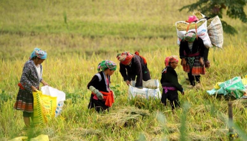 New criteria for identifying low-income workers issued