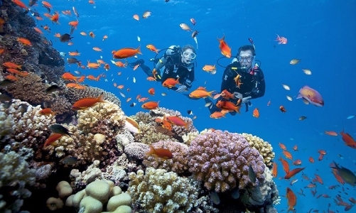 Cơ chế chi trả dịch vụ hệ sinh thái cho biển và đất ngập nước