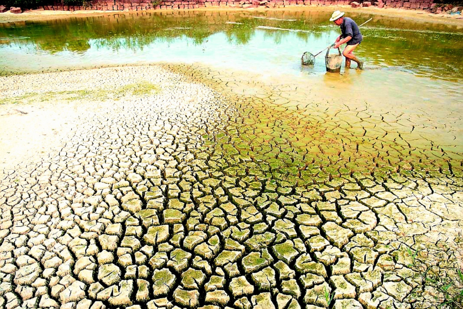 ĐBSCL hứng chịu đợt xâm nhập mặn nặng nhất từ đầu mùa khô 2024 - 2025 đến nay. Ảnh minh họa