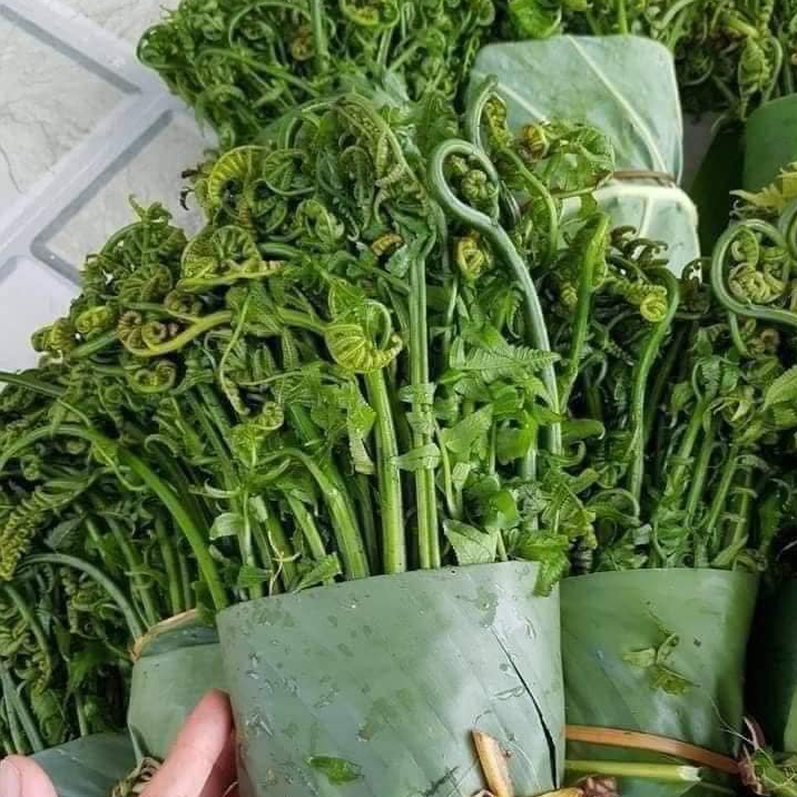 Rau dớn thường được luộc, nấu canh, xào thịt, làm nộm, cũng có thể dùng ăn sống.