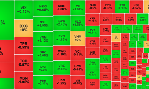 Càng rung lắc thanh khoản càng cao, VN-Index vẫn trụ vững trên mốc 1300 điểm