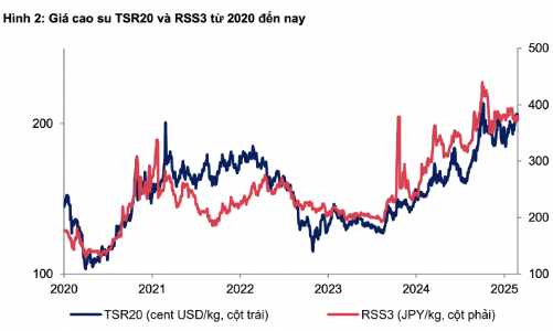 Cổ phiếu cao su bùng nổ, giá cao su được dự báo tăng mạnh năm 2025 theo thế giới