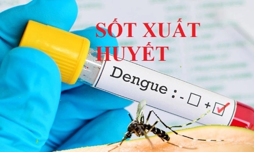 TP.HCM cảnh báo dịch sốt xuất huyết gia tăng mạnh
