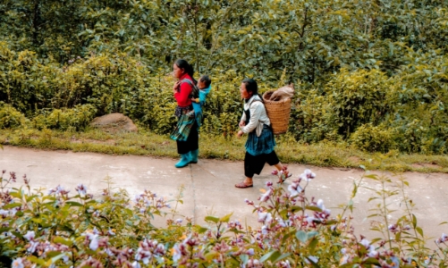 Ngành du lịch đón nhận nhiều tín hiệu tăng trưởng tích cực