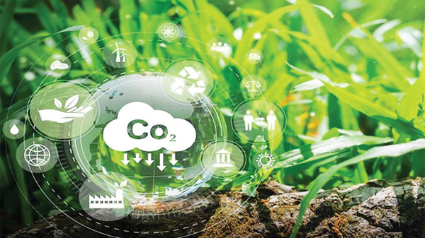 Doanh nghiệp Việt cần có chiến lược thích ứng xu hướng định giá carbon