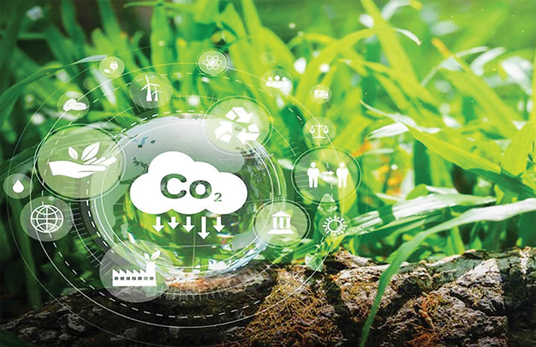 Doanh nghiệp Việt cần có chiến lược thích ứng xu hướng định giá carbon - Ảnh minh họa.