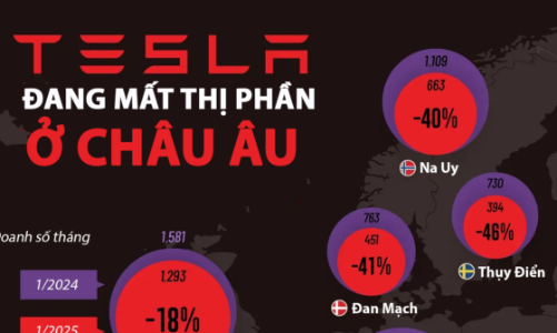 Tesla mất một nửa thị phần ở châu Âu chỉ trong một năm