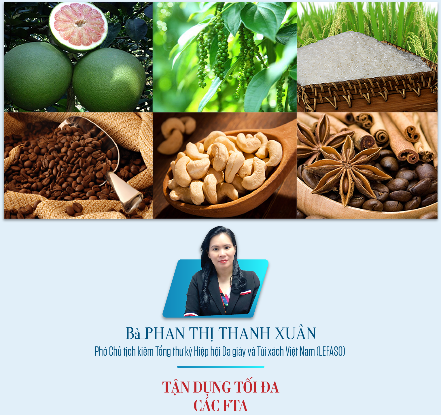 Xuất khẩu vượt thách thức tạo đà tăng trưởng cao - Ảnh 6