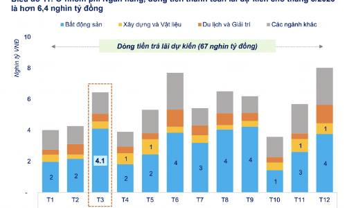 Áp lực trả lãi và nợ gốc trái phiếu trong tháng 3/2025 gần 20,7 nghìn tỷ đồng