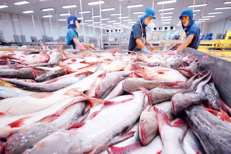 2M seafood export revenue hits $1.42 bln