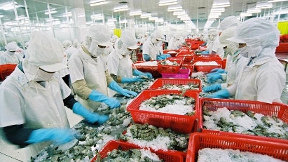 Trade ministry explores solutions to enhance export performance