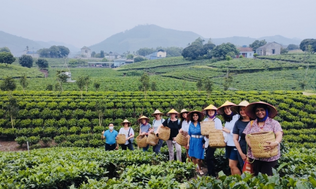 Thái Nguyên đang chú trọng phát triển sản phẩm du lịch văn hóa Trà.