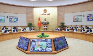 Thủ tướng yêu cầu theo dõi sát diễn biến thị trường để đảm bảo cân đối cung cầu lúa gạo