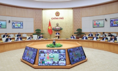 Thủ tướng yêu cầu theo dõi sát diễn biến thị trường để đảm bảo cân đối cung cầu lúa gạo