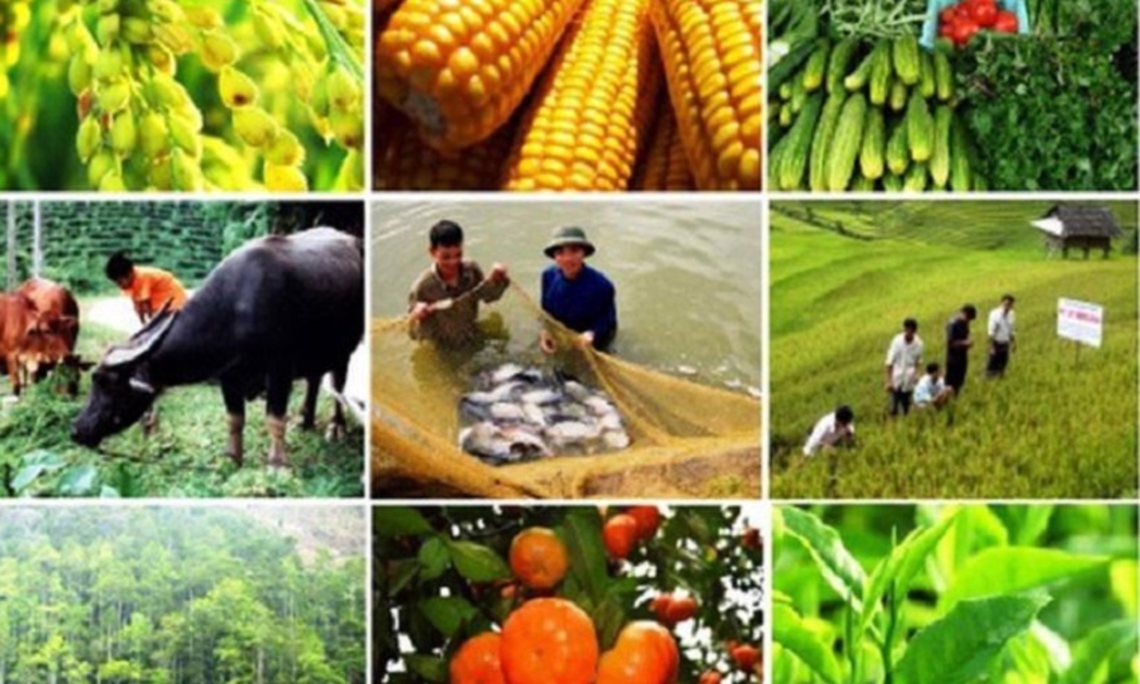 Nông nghiệp tiếp tục thể hiện vai trò