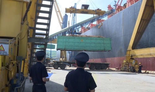 Thanh Hóa hỗ trợ doanh nghiệp nỗ lực đạt mục tiêu xuất khẩu 