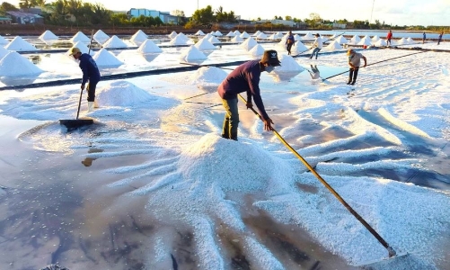 Mở ra hành trình mới cho hạt muối Việt Nam