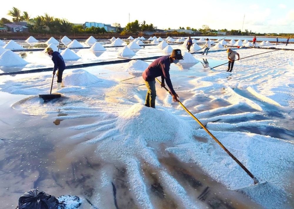 Bạc Liêu từ lâu đã được mệnh danh là “Thủ phủ muối” của Việt Nam.