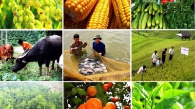 Agriculture production sees positive growth in first two months of 2025
