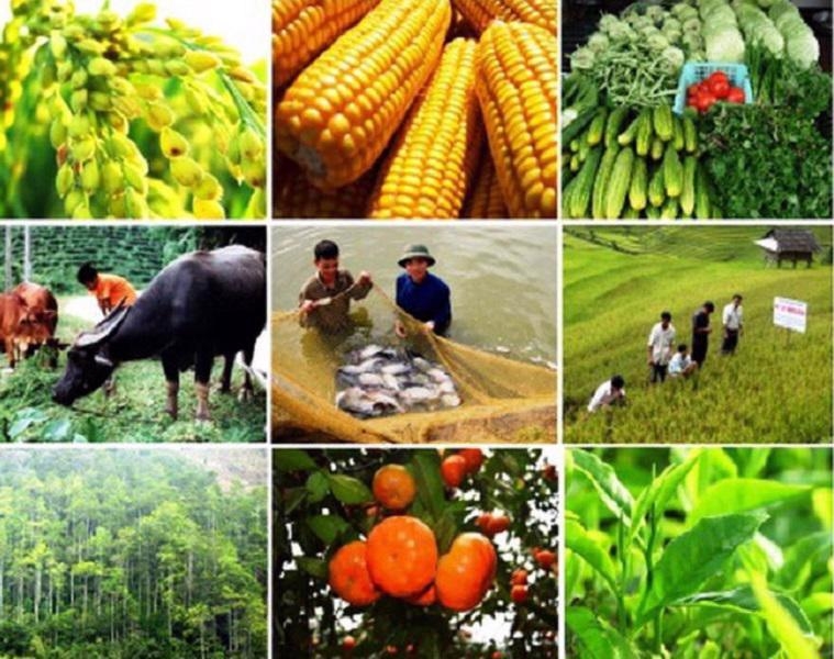 Agriculture production sees positive growth in first two months of 2025
