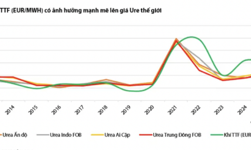 Giá phân bón thế giới dự báo tăng hết quý 1/2025 nhờ giá khí tăng 