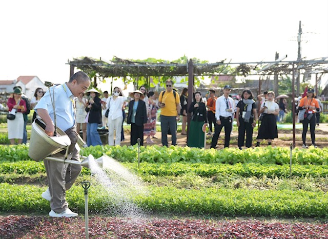 Các đại biểu trong nước và quốc tế tham quan trải nghiệm tại làng rau Trà Quế (Hội An)