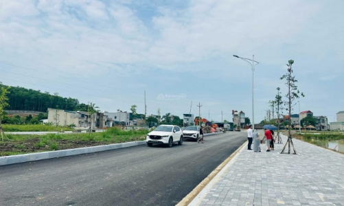 Thanh Hóa đấu giá 231 lô đất  