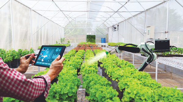Phát triển nông nghiệp bền vững thông minh