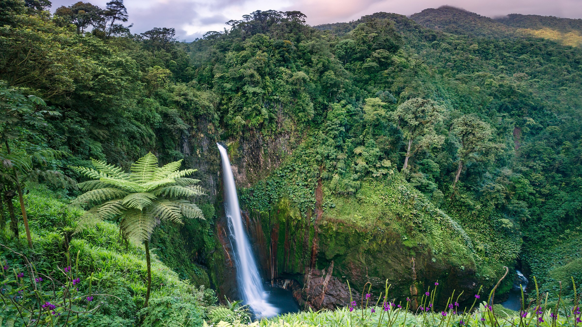 Costa Rica là quốc gia nhiệt đới duy nhất trên thế giới đã thành công trong việc đảo ngược nạn phá rừng.