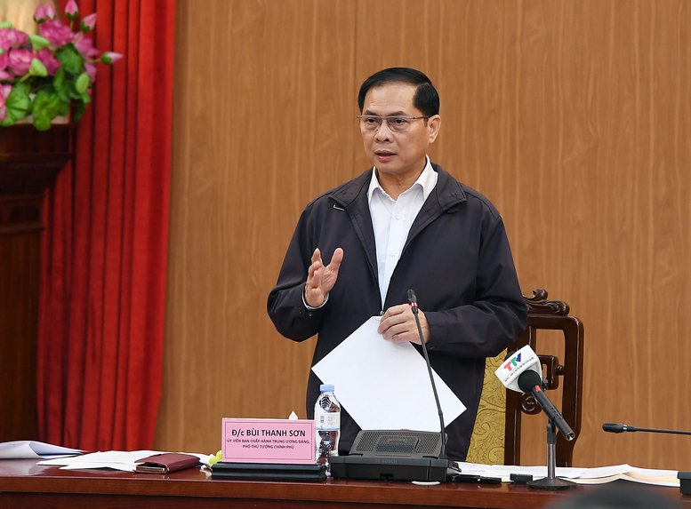 Phó Thủ tướng Bùi Thanh Sơn phát biểu tại phiên họp. Ảnh: VGP