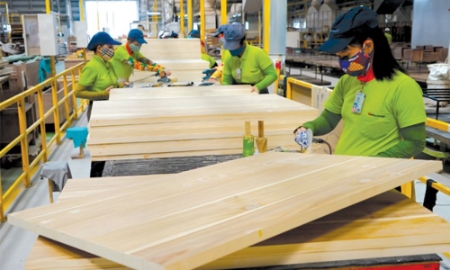 Doanh nghiệp FDI chiếm tới 48,3% tổng kim ngạch xuất khẩu toàn ngành gỗ