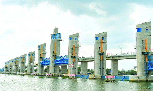 Ngành nông nghiệp đồng bằng sông Cửu Long “gồng mình” ứng phó với hạn mặn