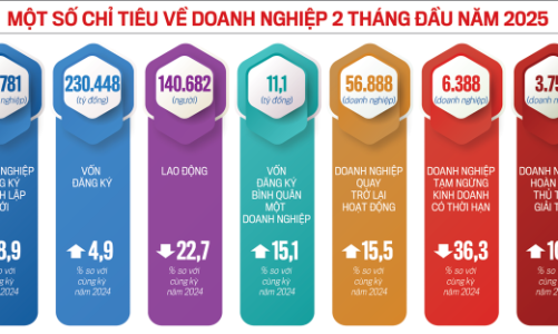 Giáo dục và truyền thông là lĩnh vực có số doanh nghiệp thành lập mới tăng trong 2 tháng năm 2025