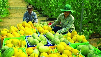 Vietnam eyes export gains as Canada changes trade policy